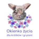_Okienko życia dla królików i gryzoni (40 x 40 cm)